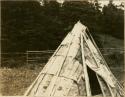 Micmac wigwam with bark storm sheet in place