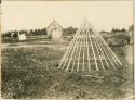 Stages in building Micmac wigwam; Addition of light poles to foundation frame and hoop