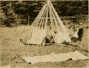 Man and woman laying on of covering bark strips over frame of Micmac wigwam