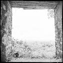 View from Temple IV at Tikal