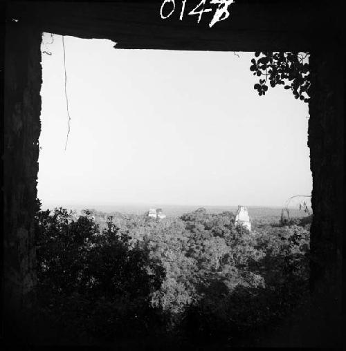 View from Temple IV at Tikal