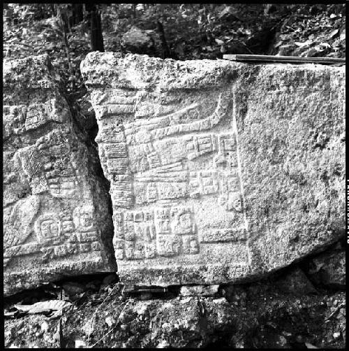 Fragment of Stela 20 at Seibal