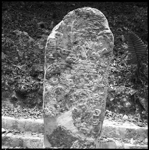 Stela 18 at Seibal