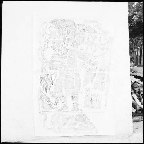 Rubbing of Stela 1 at La Amelia