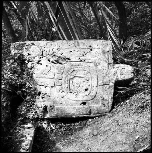 Fragment of Stela 13 at Machaquila