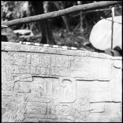 Fragment of Stela 7 at Machaquila