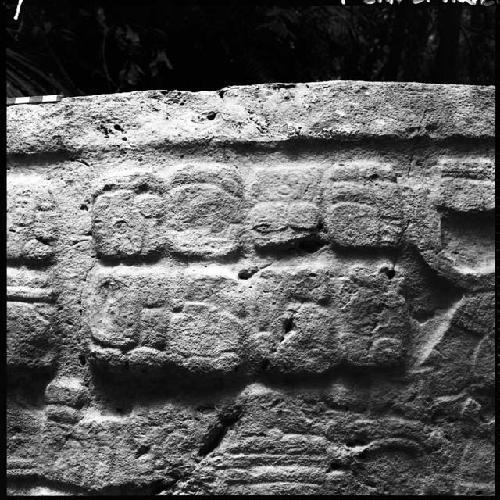 Detail of Stela 10 at Machaquila