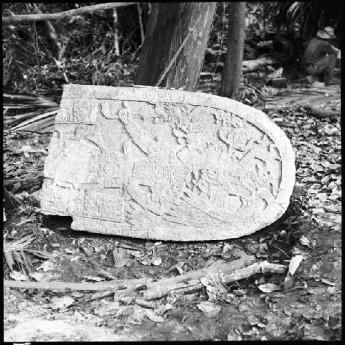 Fragment of Stela 8 at Machaquila