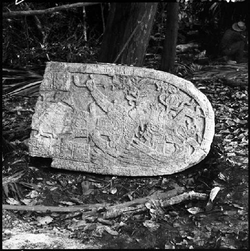 Fragment of Stela 8 at Machaquila