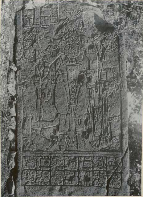 Stela 10