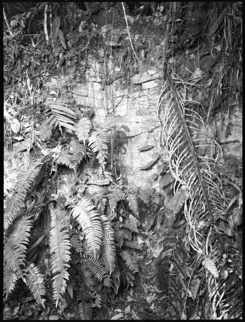 Looters' damage, Cancuen