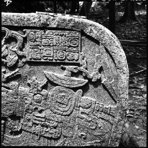 Detail of Stela 2 at Machaquila