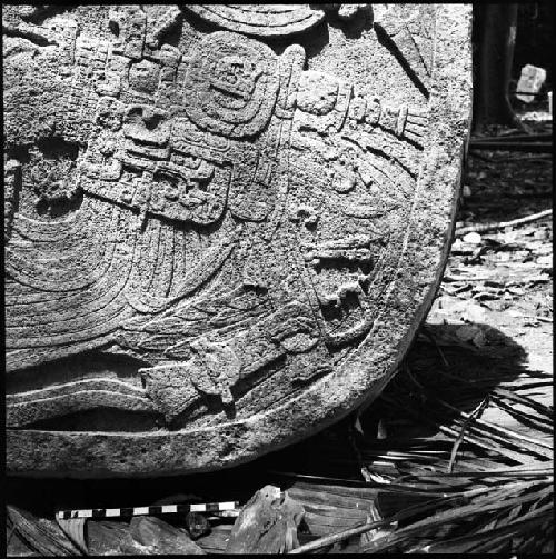 Detail of Stela 2 at Machaquila