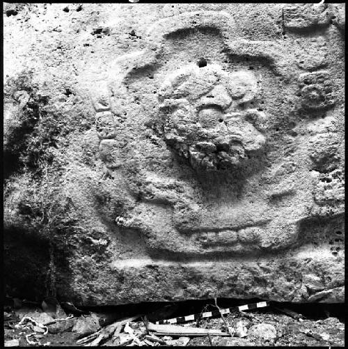 Detail of Stela 2 at Machaquila