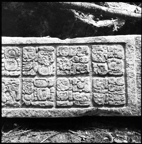 Stela 11 at Machaquila