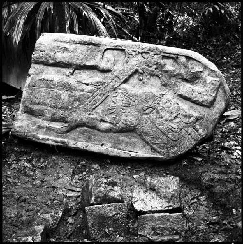 Fragment of Stela 12 at Machaquila