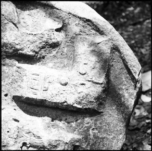 Fragment of Stela 12 at Machaquila