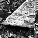 Fragment of Stela 4 at Machaquila