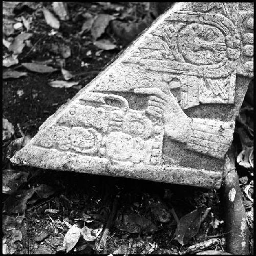 Fragment of Stela 4 at Machaquila