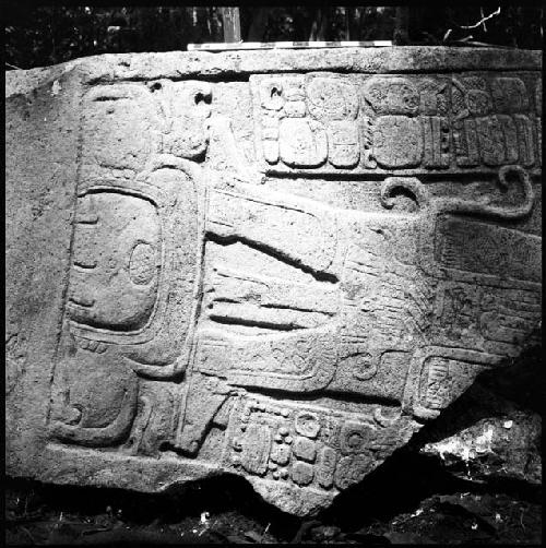 Fragment of Stela 4 at Machaquila