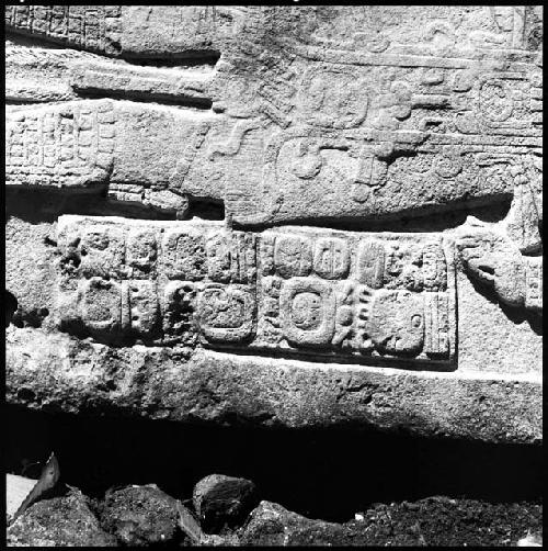 Detail of Stela 3 at Machaquila