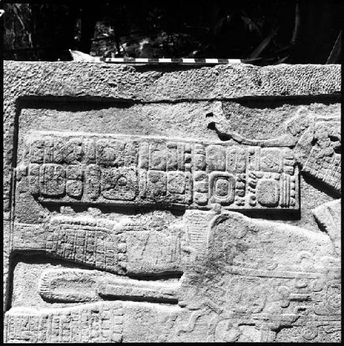 Detail of Stela 3 at Machaquila