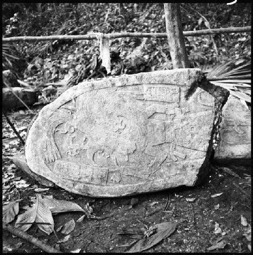 Fragment of Stela 5 from Machaquila