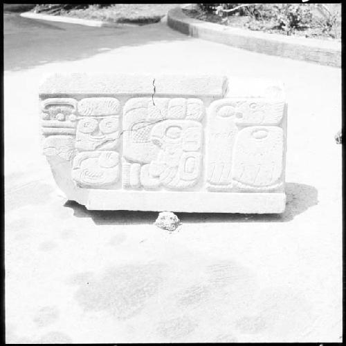 Hieroglyphic stones from Machaquila