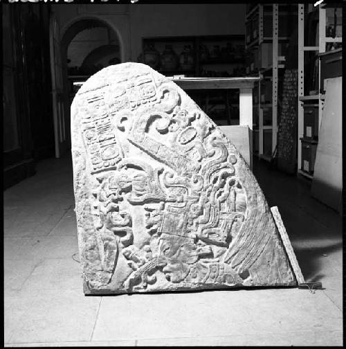 Cast of fragment of Stela 7 from Machaquila