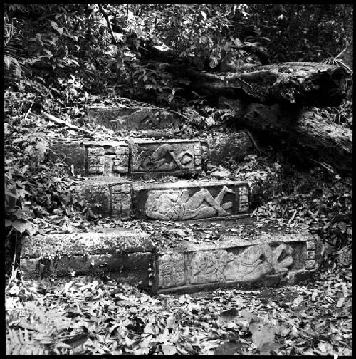 Hieroglyphic steps at Tamarindito