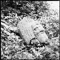 Anthropomorphic head from Structure 33 at Yaxchilan