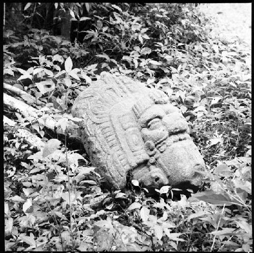 Anthropomorphic head from Structure 33 at Yaxchilan