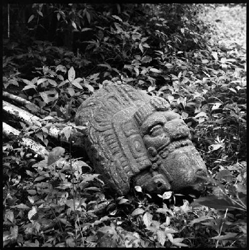 Anthropomorphic head from Structure 33 at Yaxchilan