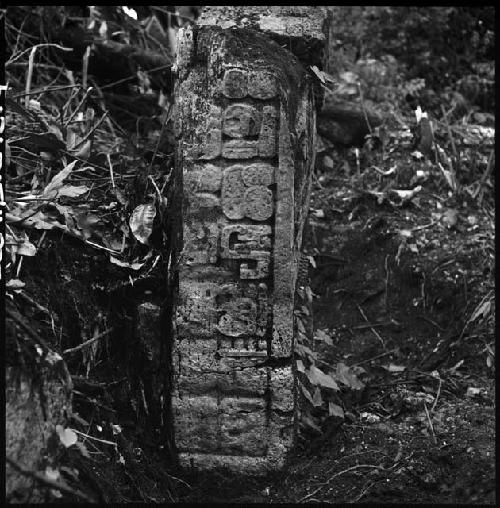 Fragment of stela at Tamarindito