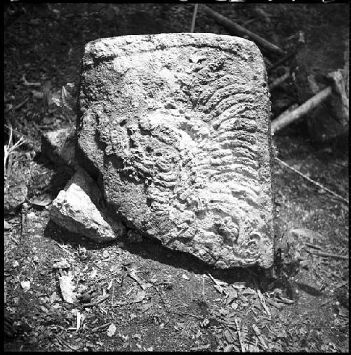 Fragment of Stela 37 at Naranjo