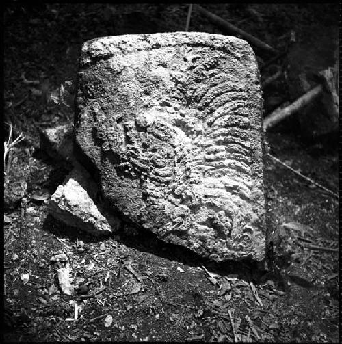 Fragment of Stela 37 at Naranjo