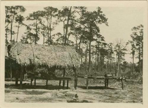 Seminole hut