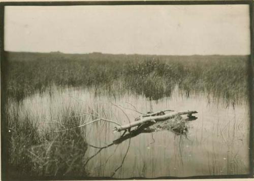 Seminole fireplace in region where there is no dry land