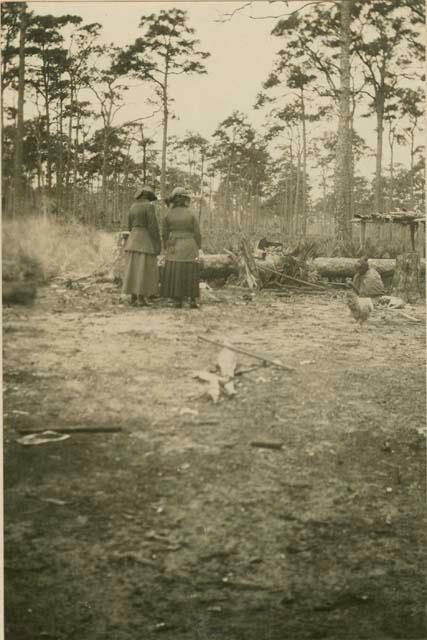 Two Seminole women standing near cut down wood