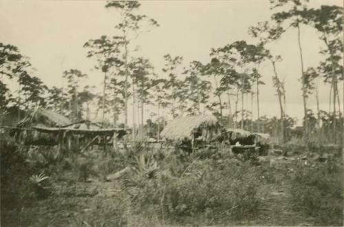 Seminole camp