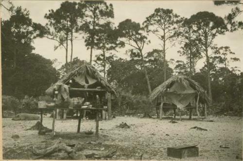 Two Seminole huts and a table full of wares