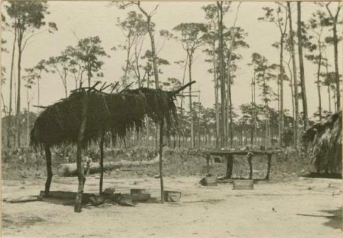 Seminole Camp