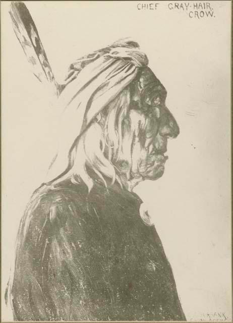 Portrait of Chief Gray Hair, a Crow Indian