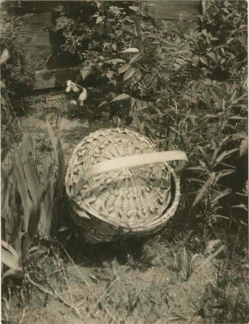 Basket left as offering on graves