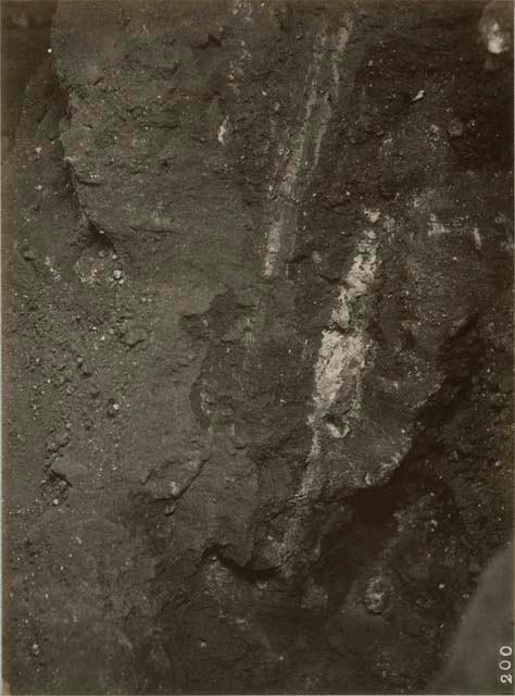 Short stratigraphic profile showing a whole leuse and a level - not very clear -