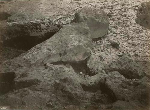 petroglyph in Loltum Cave- another view of H6395.33 - possible to see some small tool excavation