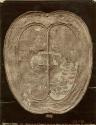 Photograph of a shield which belonged to King Philip II of Spain and is preserved