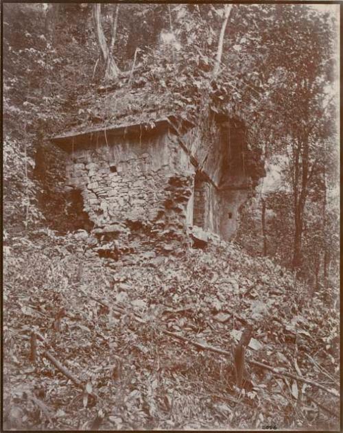 The temple of the Divinity (Waldick) and fine bas-relief of the tiger