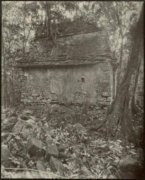 Temple of the skull