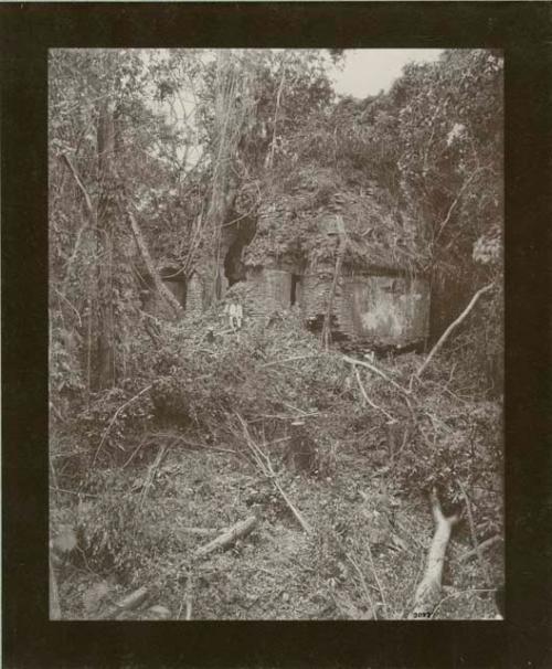 Temple 1 of the north- Palenque. Partially cleared.